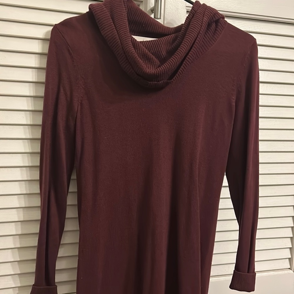 Loft cowel neck sweater dress